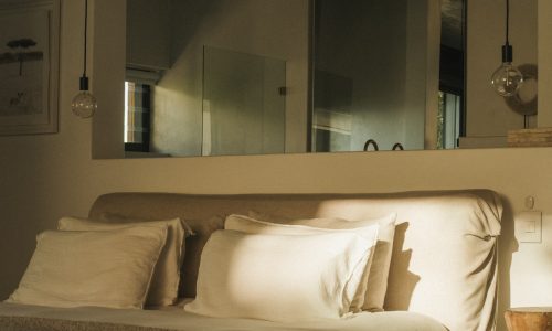 lions-rock-2025-anna-fichtner_DSF1322