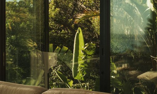 lions-rock-2025-anna-fichtner_DSF1420