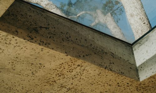 lions-rock-2025-anna-fichtner_DSF1442