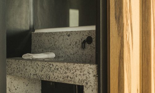 lions-rock-2025-anna-fichtner_DSF1454