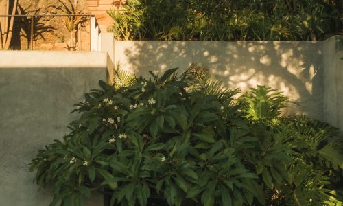 lions-rock-2025-anna-fichtner_DSF1512