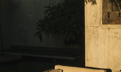 lions-rock-2025-anna-fichtner_DSF1516