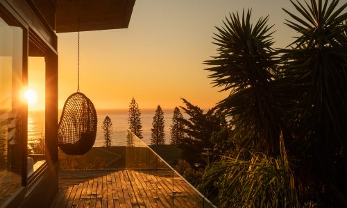 lions-rock-2025-anna-fichtner_DSF1590