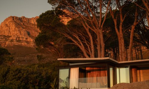 lions-rock-2025-anna-fichtner_DSF1611