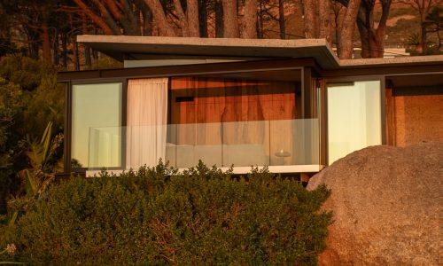 lions-rock-2025-anna-fichtner_DSF1615