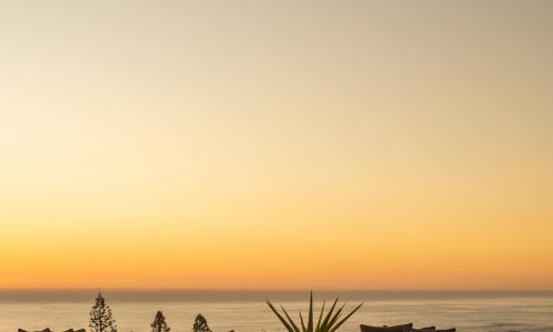 lions-rock-2025-anna-fichtner_DSF1622