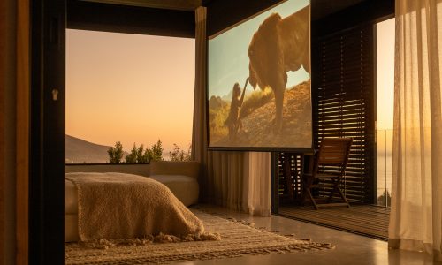 lions-rock-2025-anna-fichtner_DSF1649