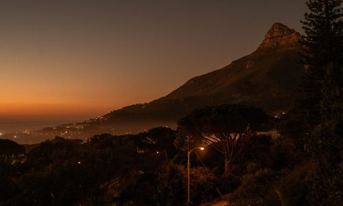 lions-rock-2025-anna-fichtner_DSF1701